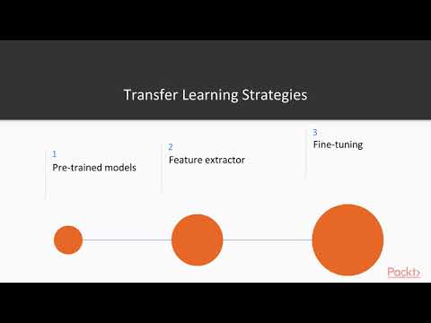 Hands On Transfer Learning with TensorFlow 2 0 Transfer Learning Overview | packtpub com