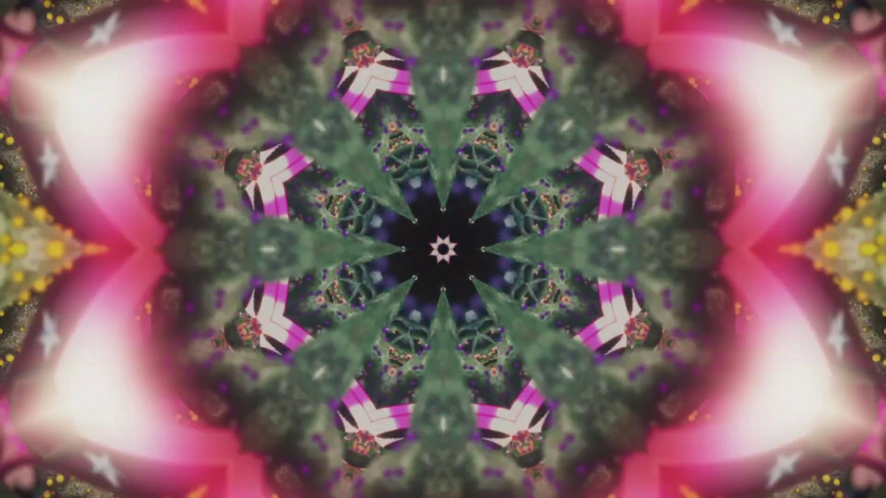 Afirmações Positivas para Atrair Amor