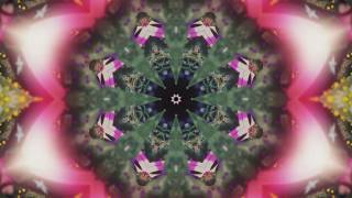 Afirmações Positivas para Atrair Amor