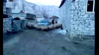 THE HEAVY METAL SHEEP CIRCLE PIT REVENGE