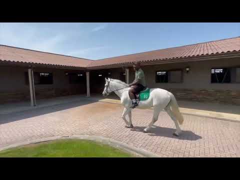 Clarence Bekker - Killing Me Softly (Fugees)(on horseback )