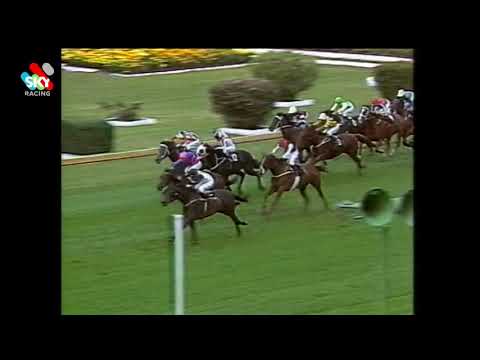 1990 SEGENHOE STAKES BETTER LOOSEN UPhdbug 1