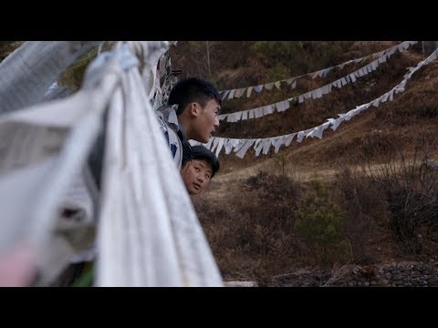 afbeelding Next Guardian, The