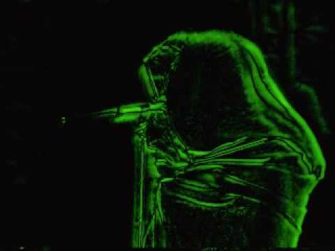 Haifa - Oceán - V mlze (Haifa mix)