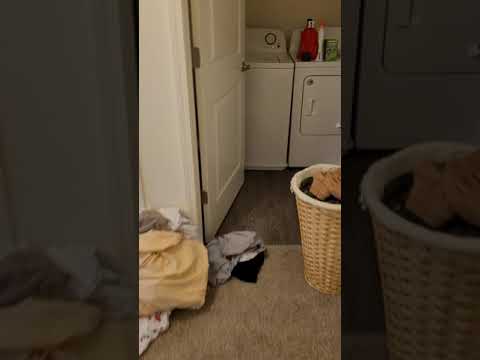 Waterford Ave - Video 2 of 2