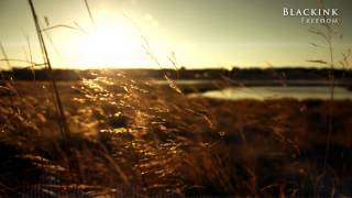 Blackink - Freedom (Full Version)
