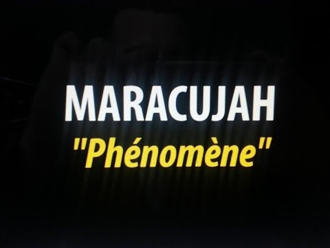 Maracujah Phénomène clip officiel