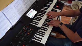 Video thumbnail for How Far I'll Go (Moana) - Yamaha Stagea ELC02 by hobnobrob2000
