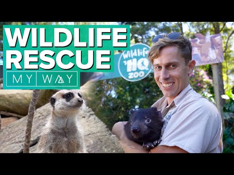 Wildlife HQ Zoo
