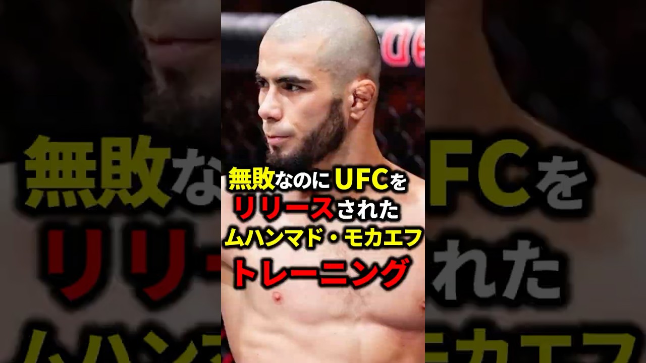 無敗なのにUFCをリリースされたムハンマド・モカエフのトレーニング【総合格闘技】