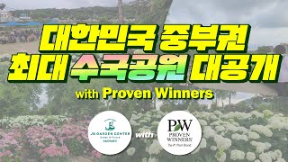 중부지방 최대 수국 정원을 공개합니다!! 전 국민이 이곳에 다 모이네요..[JB가든센터_대림묘목농원]