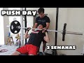 PUSH DAY || SEMANA 2 || Natural Bodybuilder
