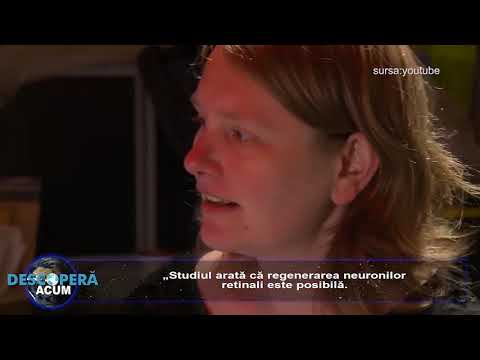 Procesul care permite regenerarea neuronilor din ochi si creier