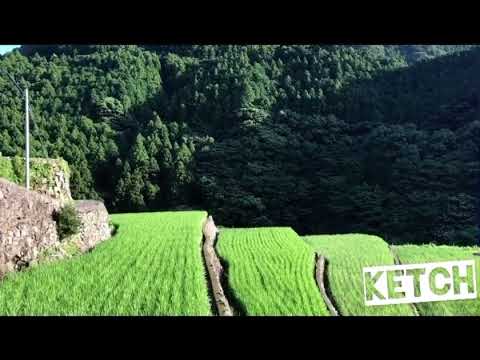 Escalator in Nagasaki (Ketch - Japanese mime clown, former member of Gamarjobat)