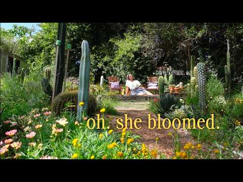 The Summer My Garden Turned Pretty