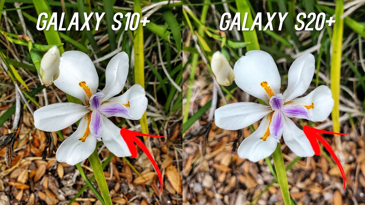 Samsung Galaxy S20+ vs S10+ Camera Comparison Test: Upgrade?
