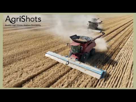Wheat Harvest