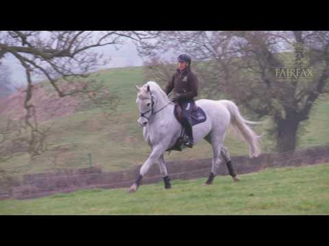 Andrew Hoy Masterclass in Minutes no 5 - working out of the arena