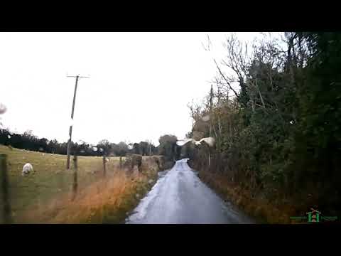 'Sid' the Local Barn Owl Swooping in front of car - Hornbeam Wood Hedgehog Sanctuary