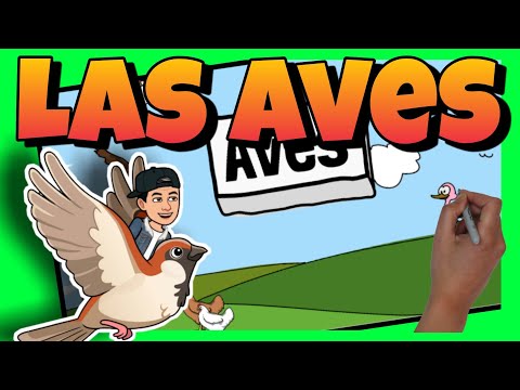 🐦 Las AVES para NIÑOS de PREESCOLAR
