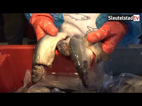 Samenvatting 3 oktober-viering Leiden 2019