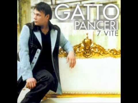 Gatto Panceri - Confine