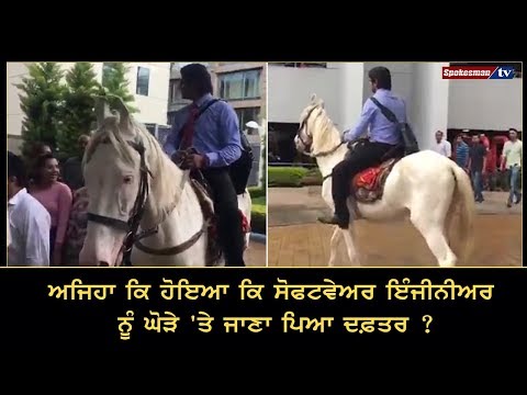 ਅਜਿਹਾ ਕਿ ਹੋਇਆ ਕਿ software engineer ਨੂੰ ਘੋੜੇ 'ਤੇ ਜਾਣਾ ਪਿਆ ਦਫ਼ਤਰ ?