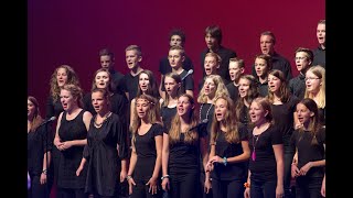 Ananias - Big Bill Broonzy (Journey through Black Gospel)