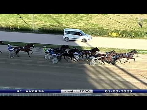 Aversa trotto 1 Marzo 2023 - 6° Corsa