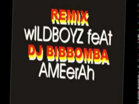 wiLD BoyZ Feat AmeErAh - The Sound of Missing You - REMIX Bibbomba