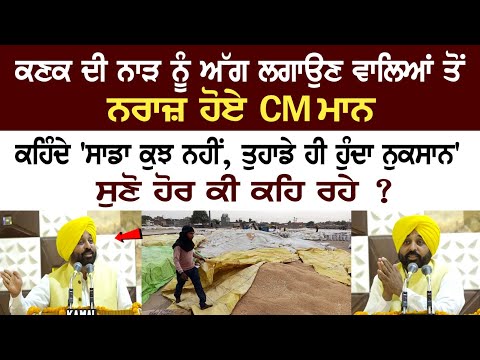 Annoyed with those who set the wheat crop residue on fire, CM Mann says- 'This will harm you'