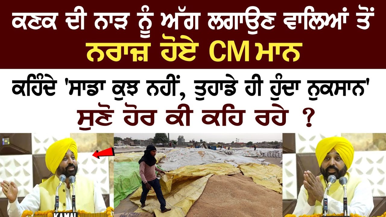 Annoyed with those who set the wheat crop residue on fire, CM Mann says- 'This will harm you'  Annoyed with those who set the wheat crop residue on fire, CM Mann says- 'This will harm you'