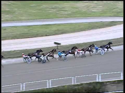 Trotto 29/01/2015 - 3° Corsa