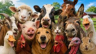 Download lagu 20 Nama Hewan Ternak & Suara Aslinya 🐄 | Belajar Hewan untuk Anak-anak | Kosakata Bahasa Inggris mp3