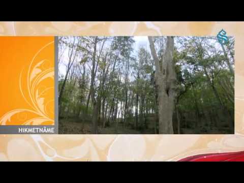 Ebû Hasan Şâzeli Hazretleri'nden (k.s.) Dualar ve Nasihatler