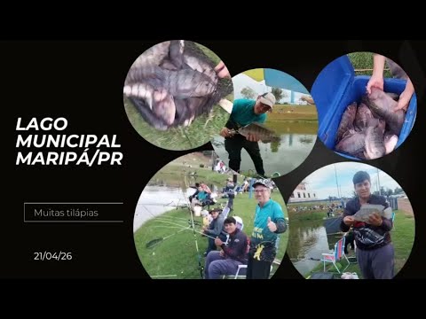 Parte 2/Pesca lago municipal de Maripá/ PR.@pescaeforjacomsilvano7910 @HenriqueMarchesini #pesca 