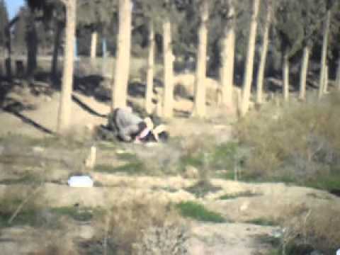 عناصر لواء أسود السنة يؤدون صلاة الظهر في محيط مطار دير الزور العسكري