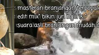 Download lagu masteran branjangan ngerol nembak spesial mix jangan lupa subscribe for more videos mp3 Download lagu masteran branjangan ngerol nembak spesial mix jangan lupa subscribe for more videos mp3