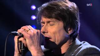 Suede. The fur & feathers. Live and acoustic version