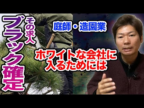 園芸 白人のドロニック