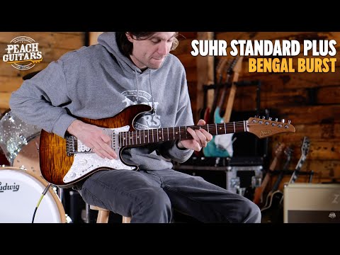 No Talking...Just Tones | Suhr Standard Plus Bengal Burst Pau Ferro