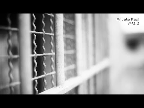 Video thumbnail for F41.1