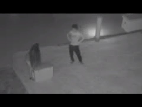 Фото Marco Island thieves caught on camera stealing $250 worth of fish
