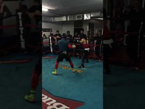 Murodjon Akhmadaliev knocks down sparring partner in Las Vegas.