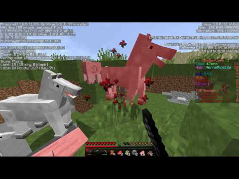 Mado Varo 8 Folge 1 Nachjoinen