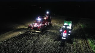 【2020】ビート収穫 MF 7726+Kröger AGROLINER【後編】