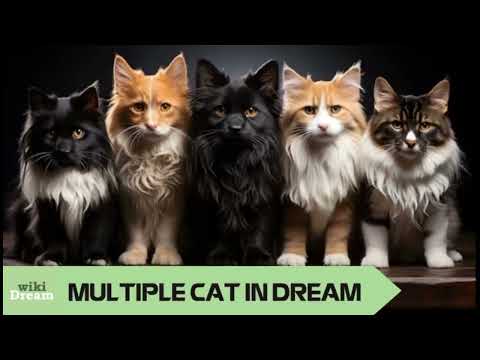 What does dreaming about multiple cats really signify for your spirituality?