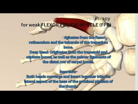 Flexor Policis Brevis | Electrotherapy| Weak muscles | Electric Muscle Stimulation