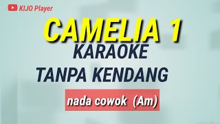 Download lagu CAMELIA 1 - Karaoke Tanpa Kendang - Nada Cowok(Am) mp3