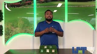 Turf Tips | Infill Sand